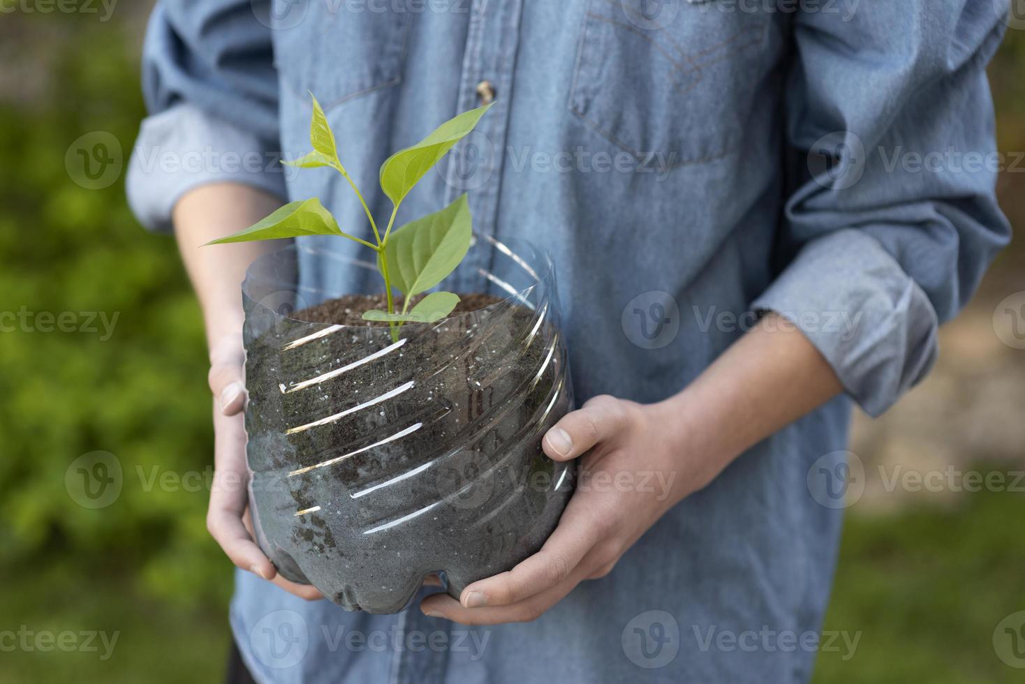 persona che tiene una pianta in un vaso di plastica foto