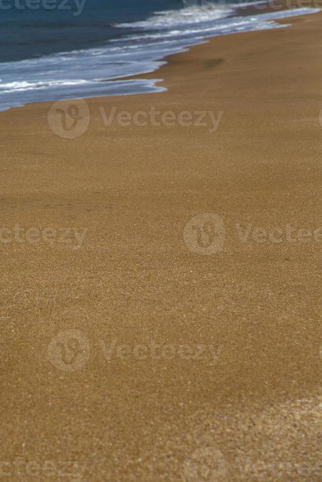 spiaggia di Anjuna Goa India foto