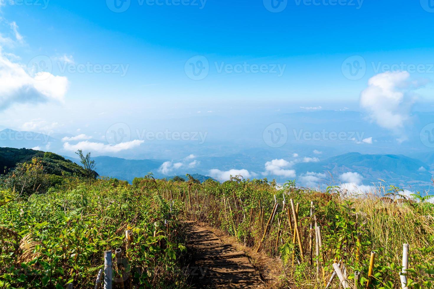 bellissimo strato di montagna con nuvole e cielo blu al sentiero naturalistico di Kew Mae Pan a Chiang Mai, Thailandia foto