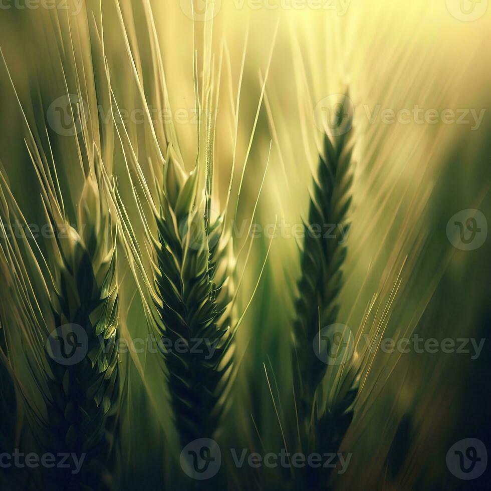 agricoltura pianta spuntone campo nel natura foto. ai generativo foto