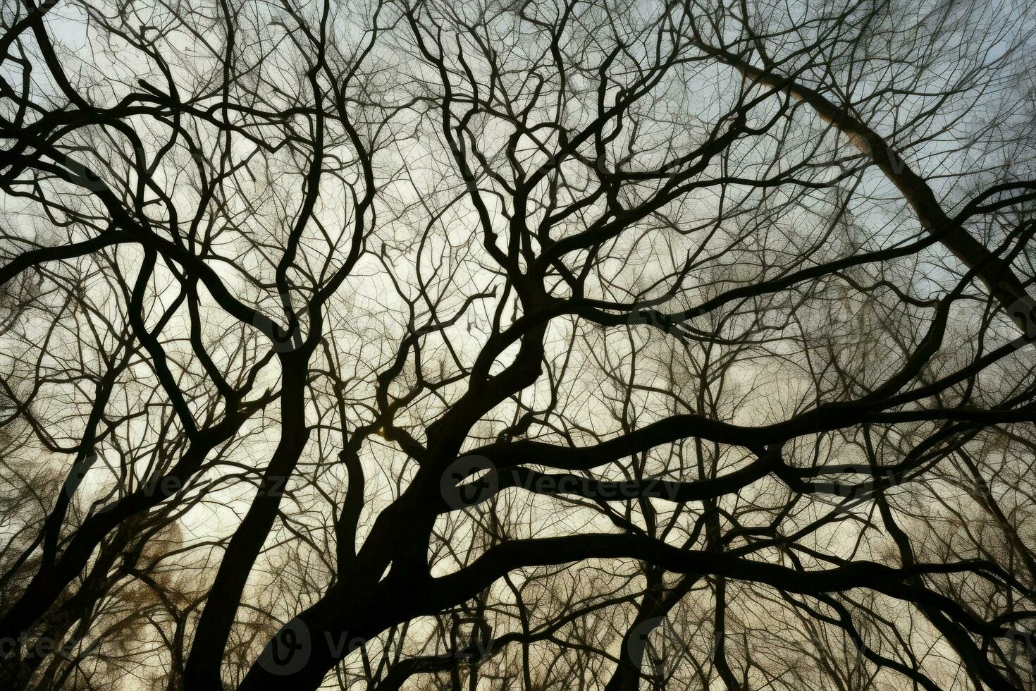 spoglio albero rami. creare ai foto