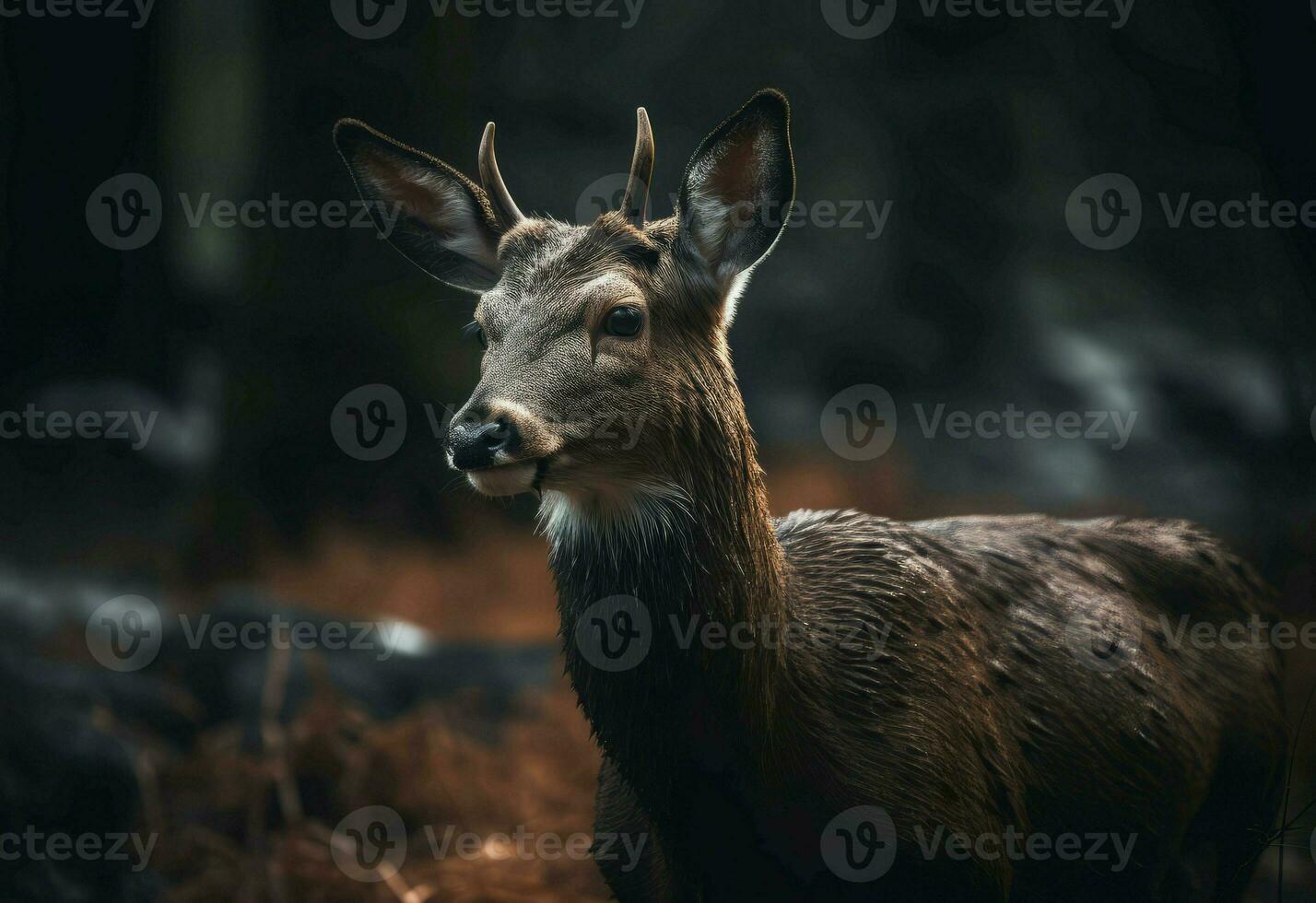 cervo giovane a in profondità foresta. creare ai foto