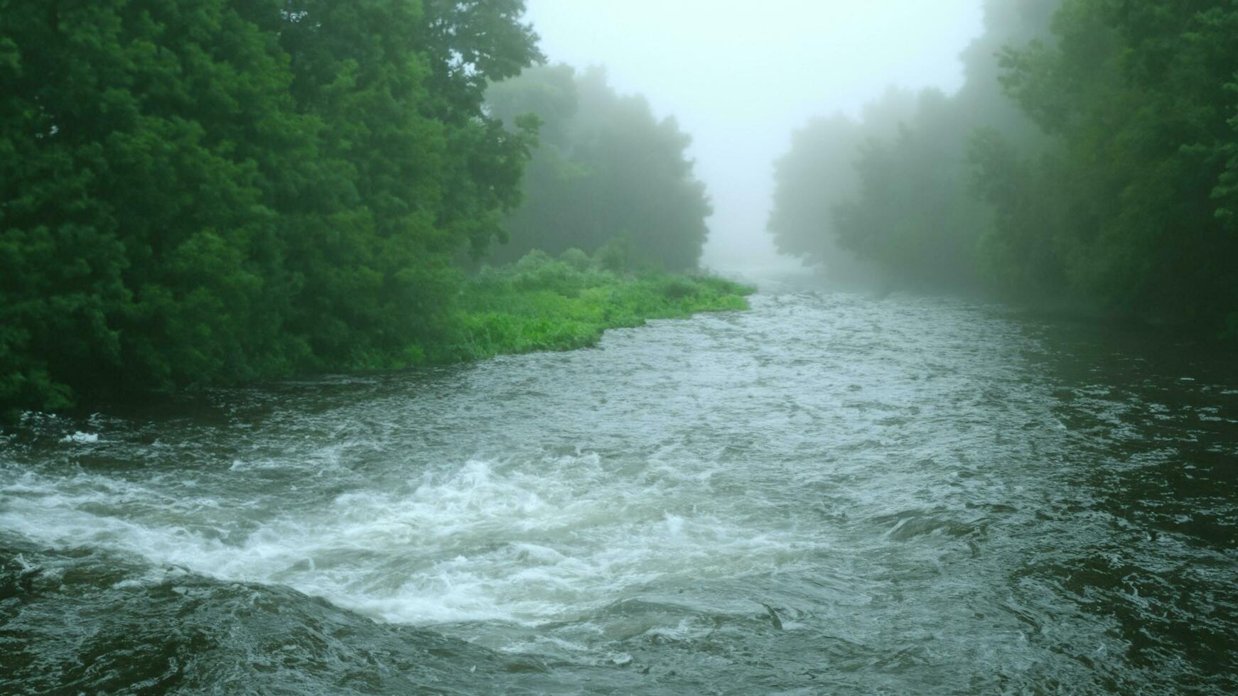 acqua ruscello nel natura fiume nel piovoso stagione e freddo nebbia 3d illustrazione foto