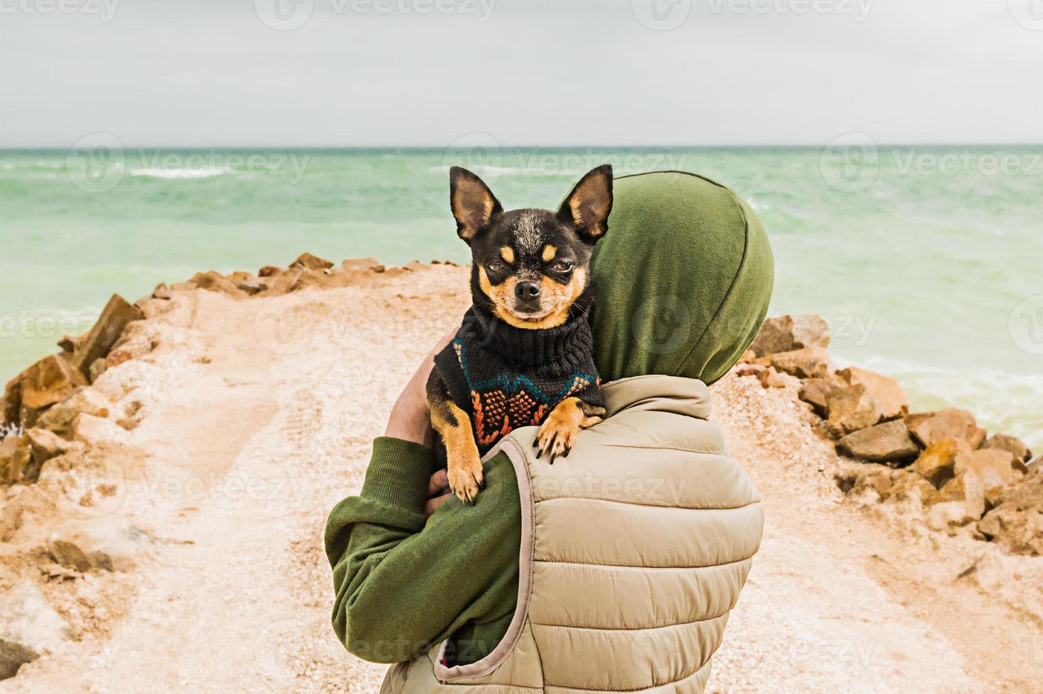 il concetto di amicizia e fiducia tra un uomo e un cane. cane chihuahua tra le braccia di un ragazzo in riva al mare. foto