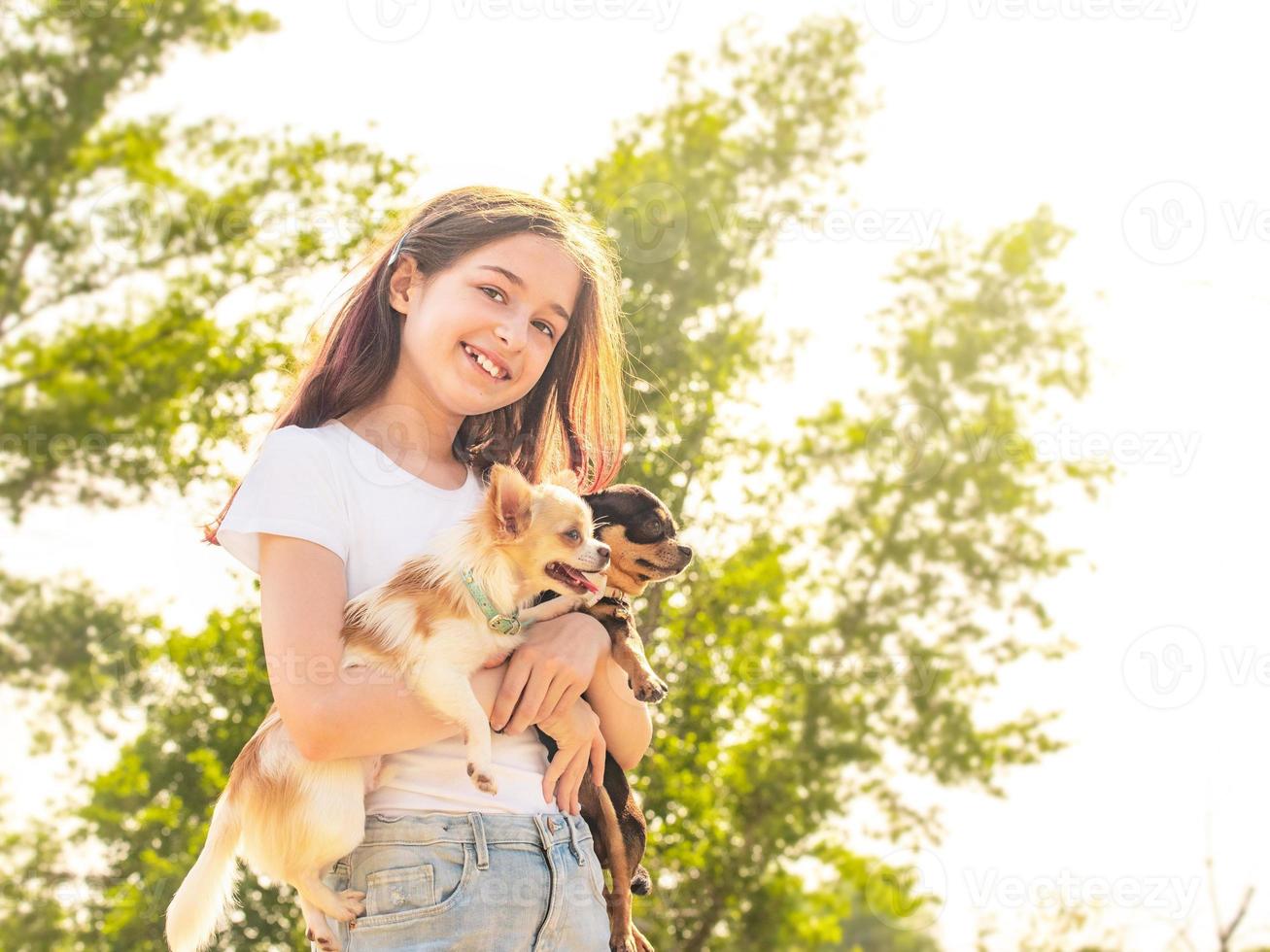 ragazza con due chihuahua in braccio in estate. carina ragazza sorridente in una giornata di sole. ragazza, animale domestico foto