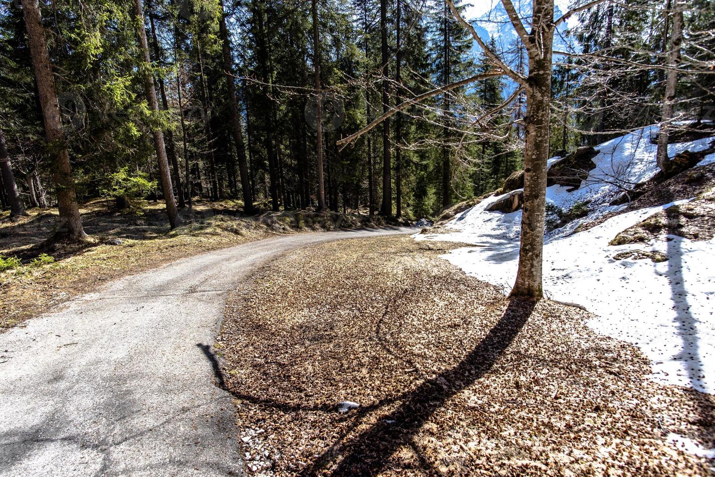 dolomiti di cortina d'ampezzo in alta valle del boite belluno italia foto