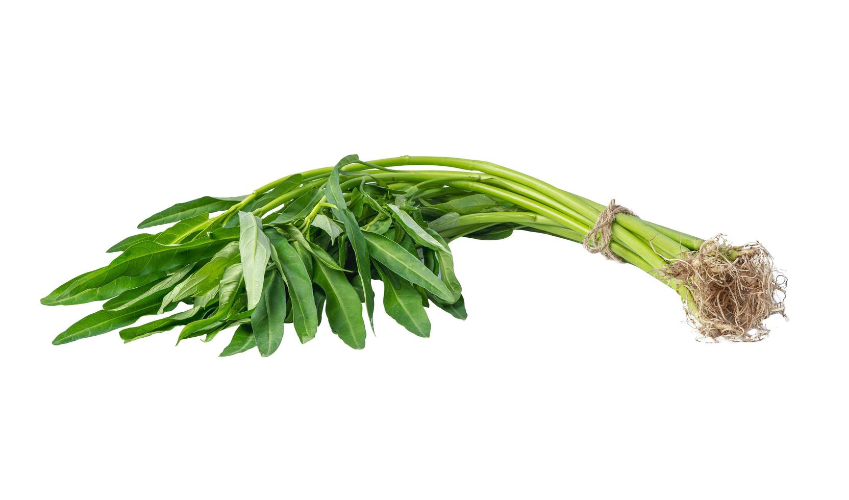 spinaci di acqua dolce, gloria mattutina cinese isolato su sfondo bianco con tracciato di ritaglio. foto