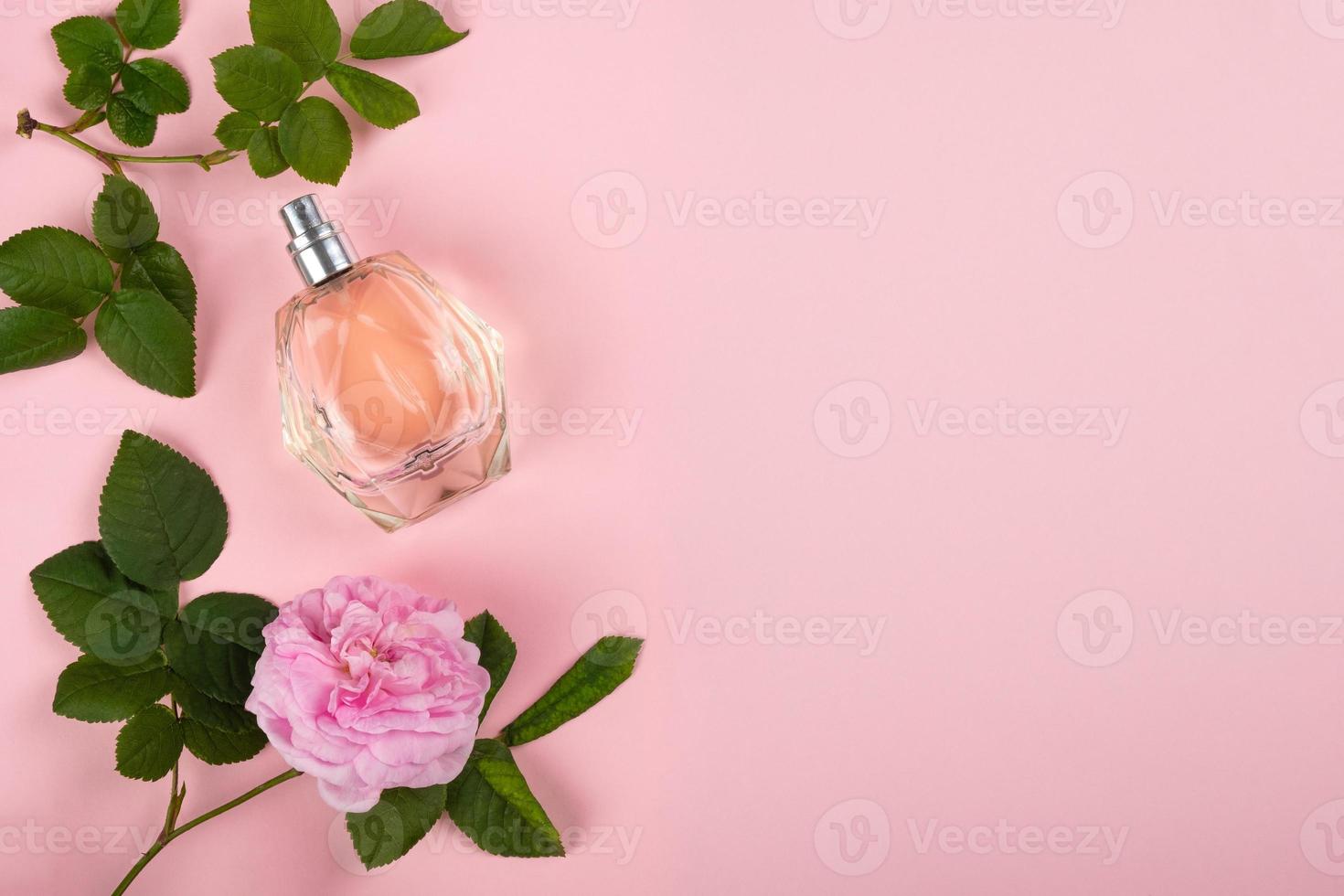 profumo con profumo di rosa su sfondo rosa con copia spazio foto