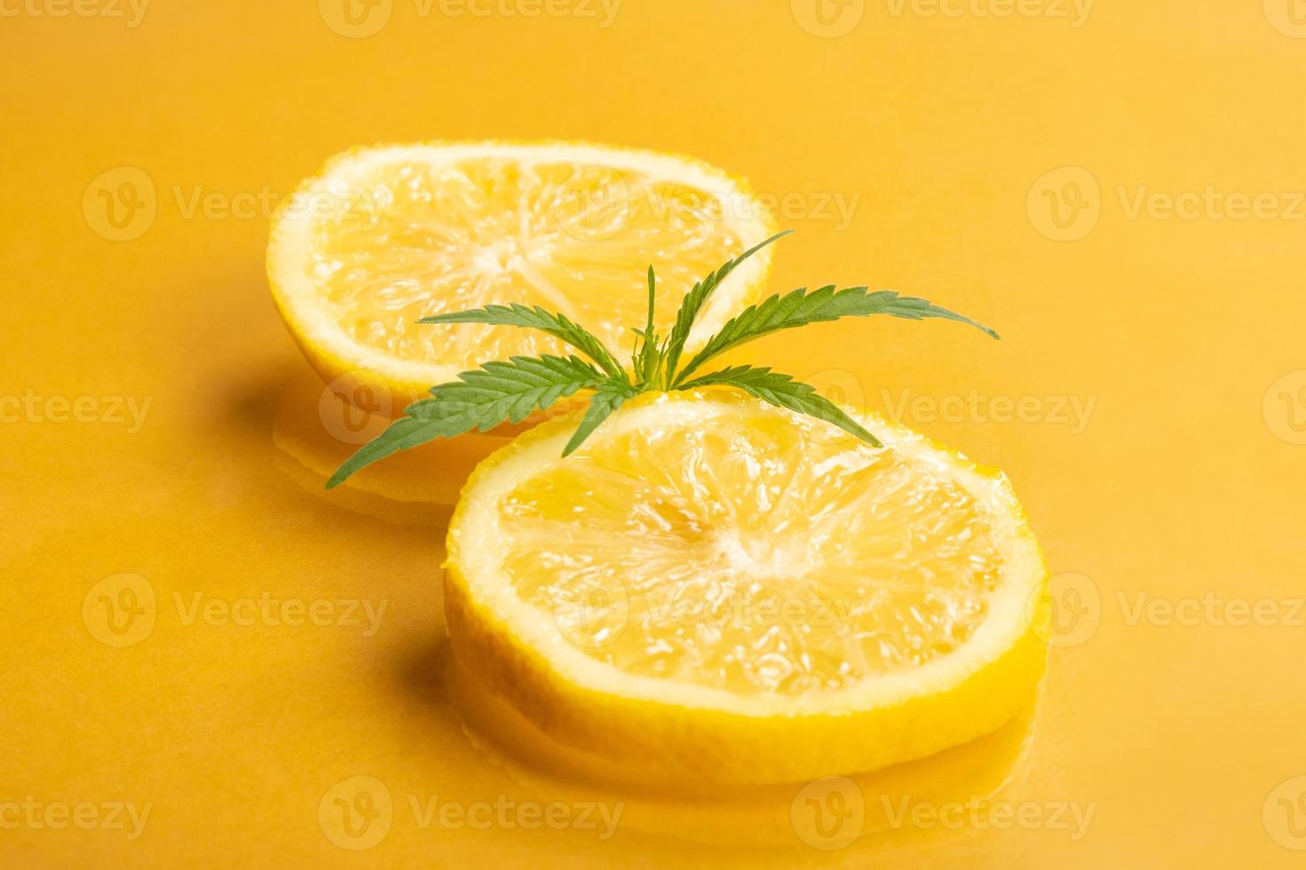 canapa al limone, marijuana medica con sapore e aroma di agrumi, spicchi di limone con gemma di marijuana su sfondo giallo foto