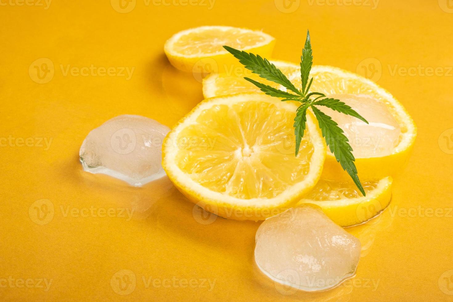 spicchi di limone con cubetti di ghiaccio e germogli di marijuana su sfondo giallo, canapa al limone, cannabis al profumo di agrumi citrus foto