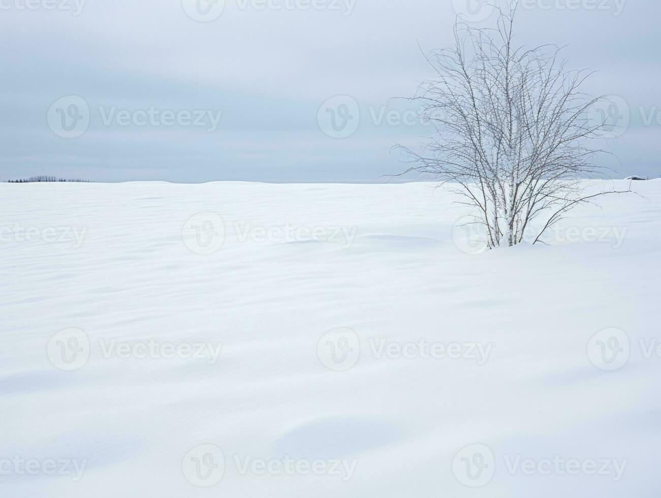 minimalista inverno paesaggio composizione ai generativo foto