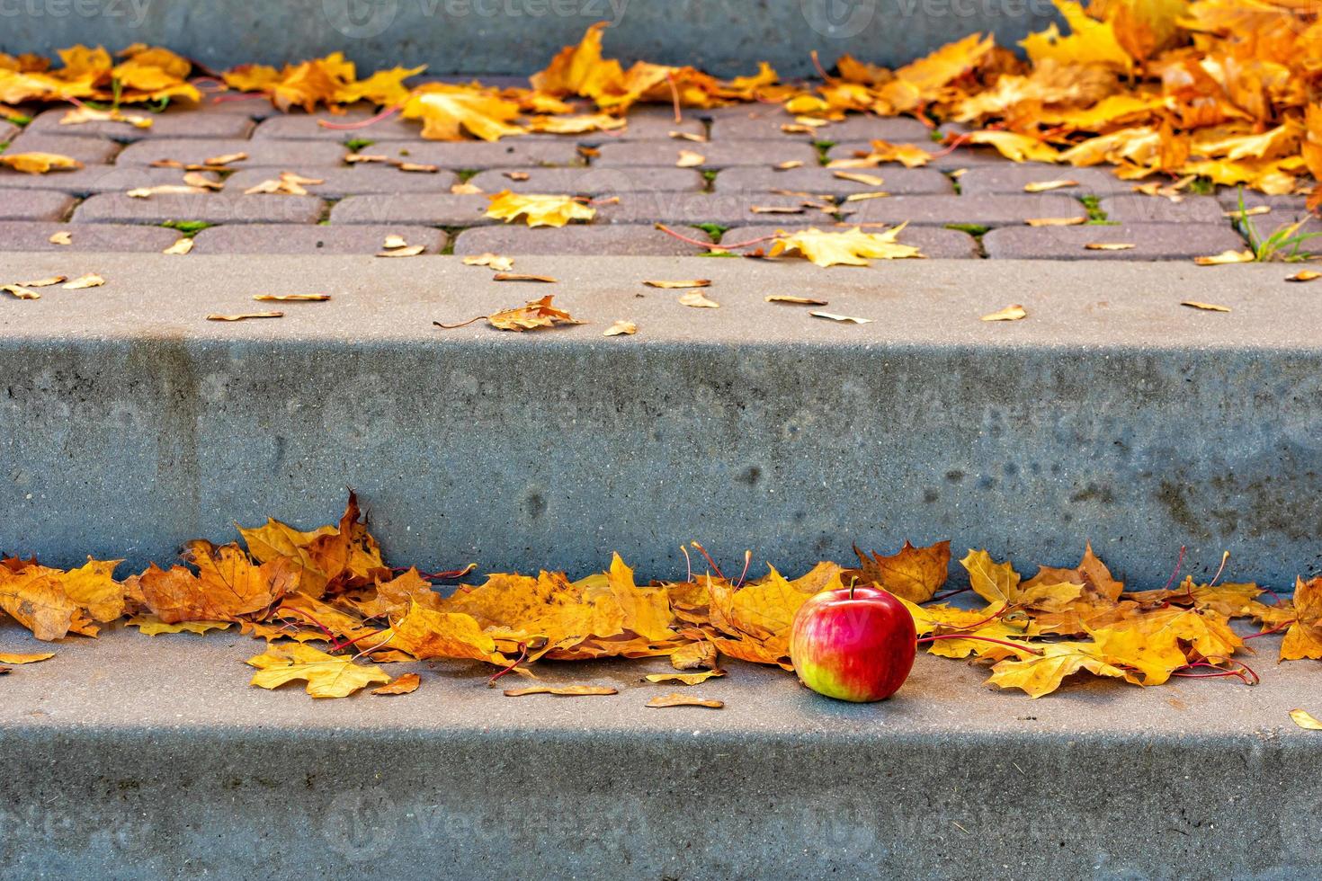 caduta delle foglie d'autunno. foglie gialle e mela solitaria sui gradini di pietra.concetto autunnale - image foto