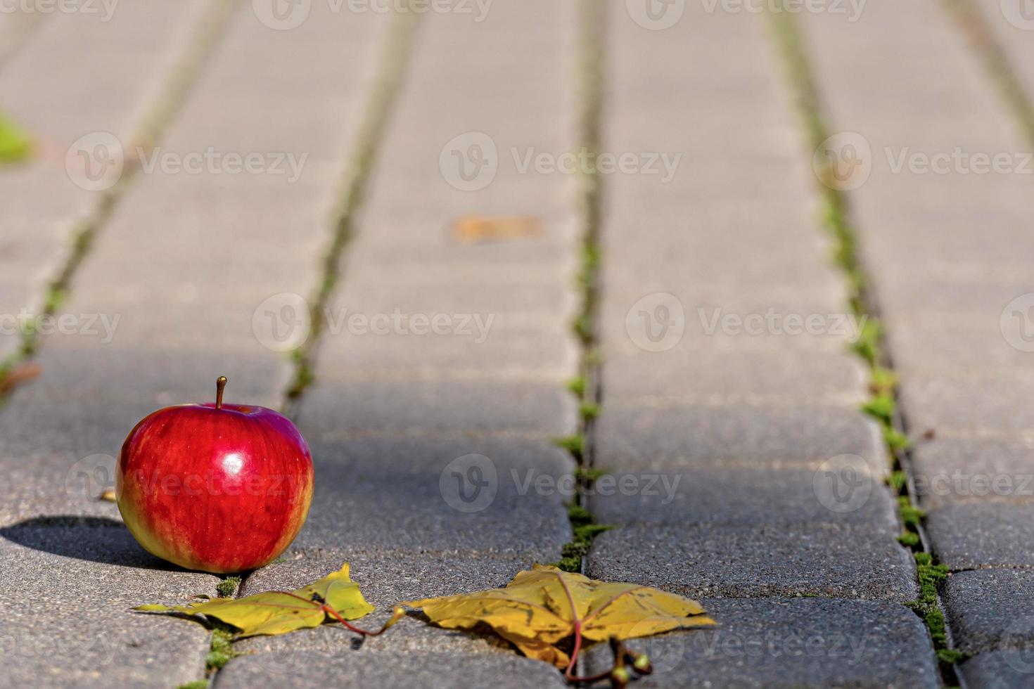 mela rossa sul sentiero foto