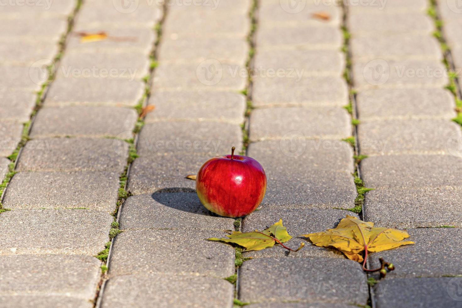 mela rossa sul sentiero foto