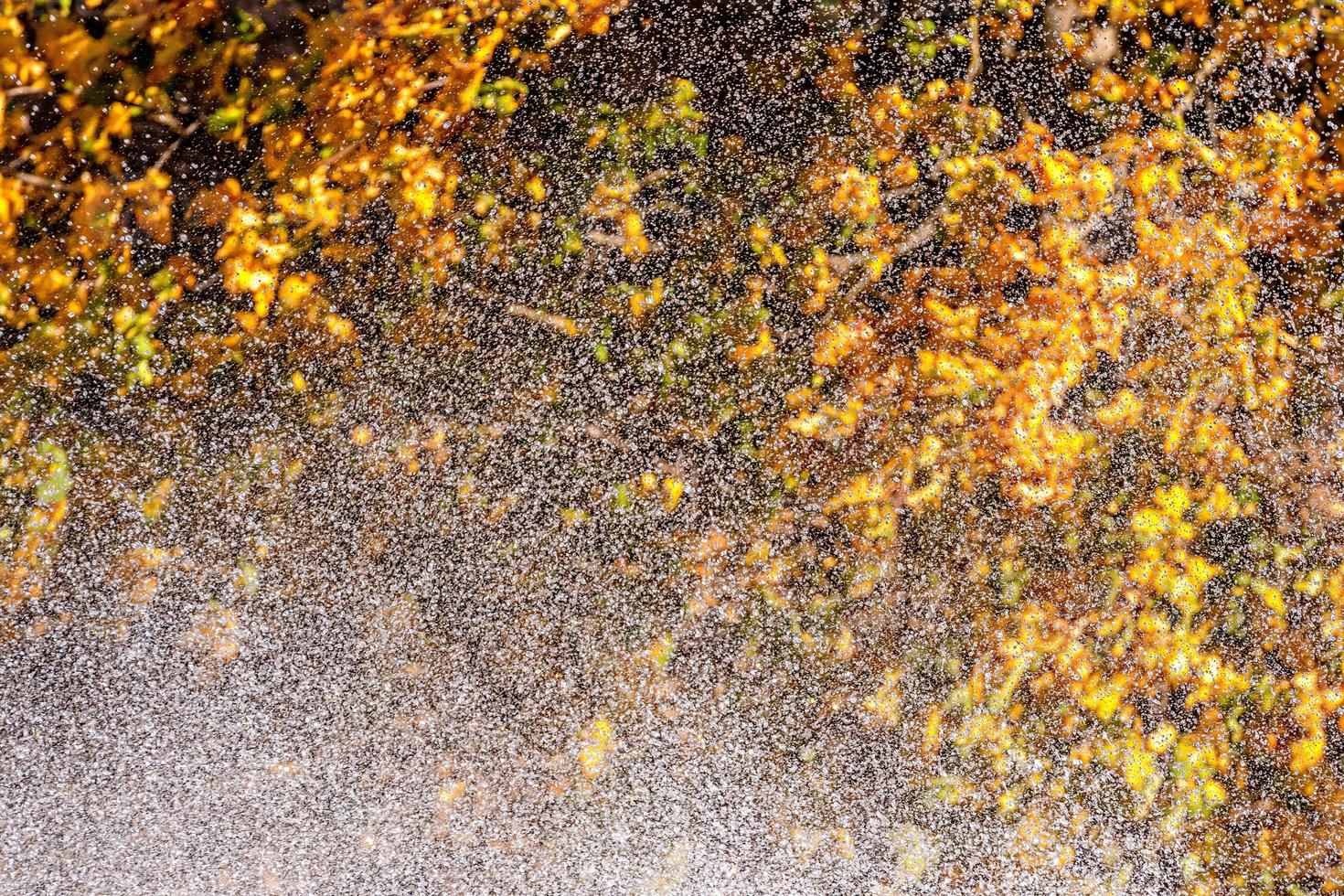 spruzzi d'acqua nel parco autunnale foto