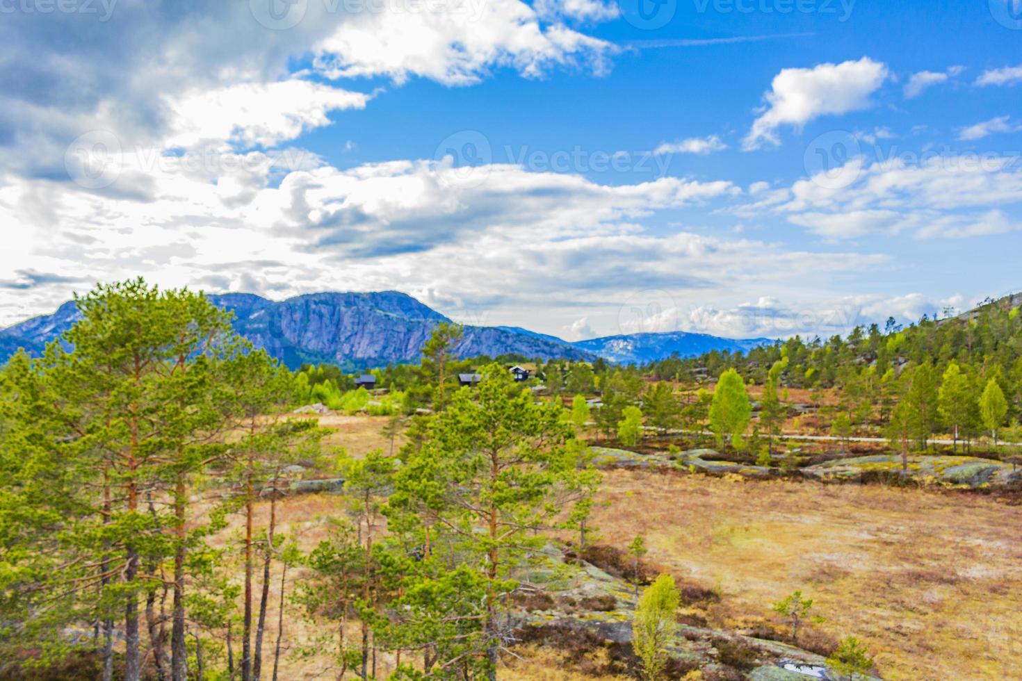 panorama con abeti cottage e montagne natura paesaggio nissedal norvegia. foto