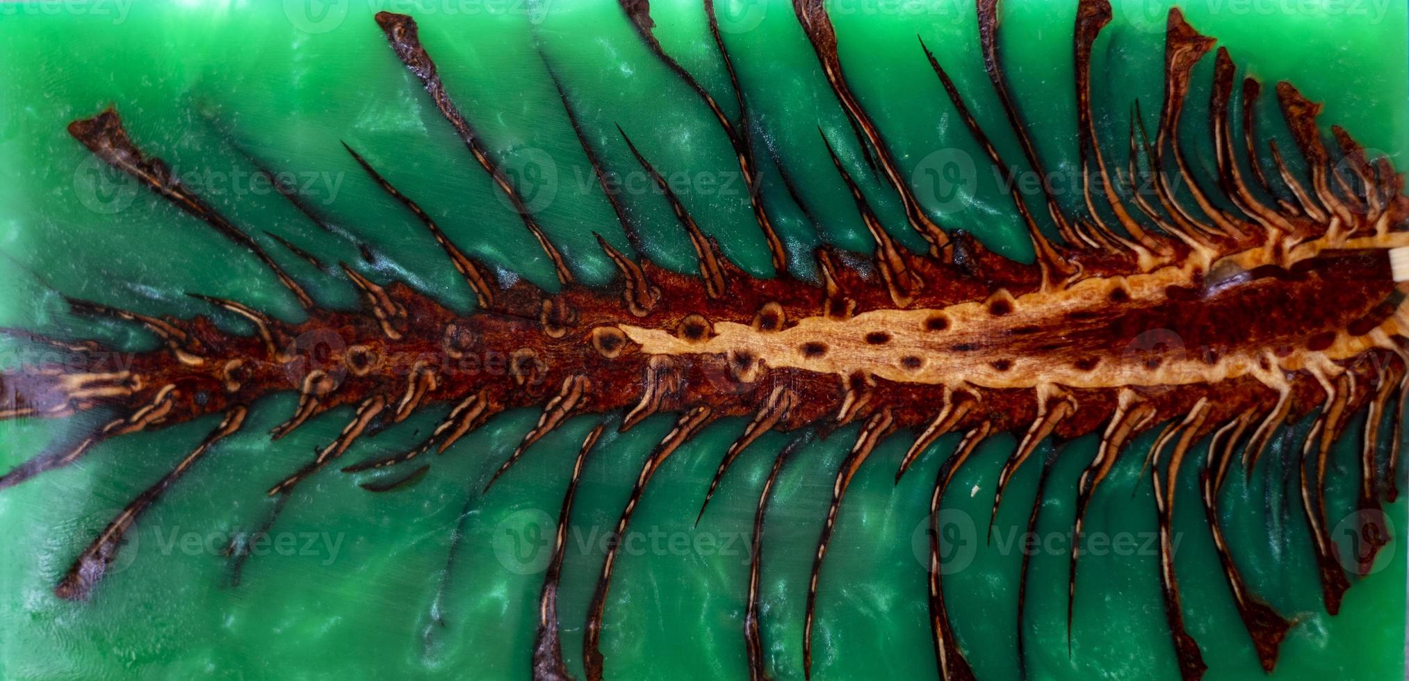 colata di resina epossidica stabilizzante sfondo di pigna foto