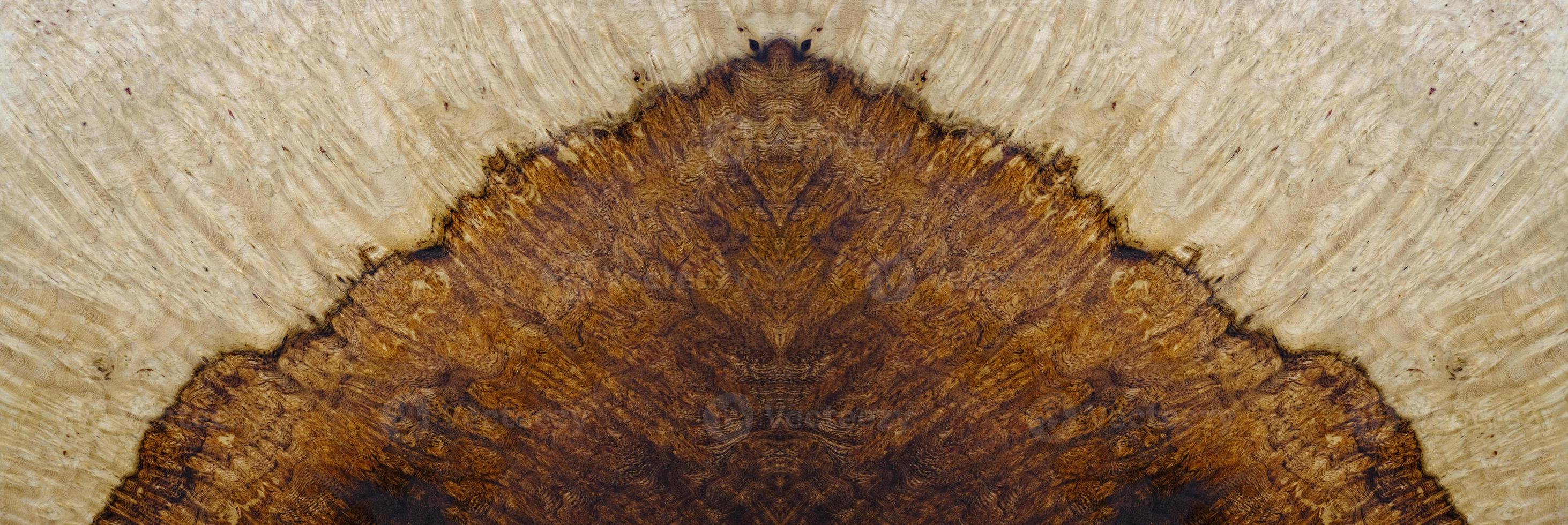 legno di radica di noce naturale rigato foto
