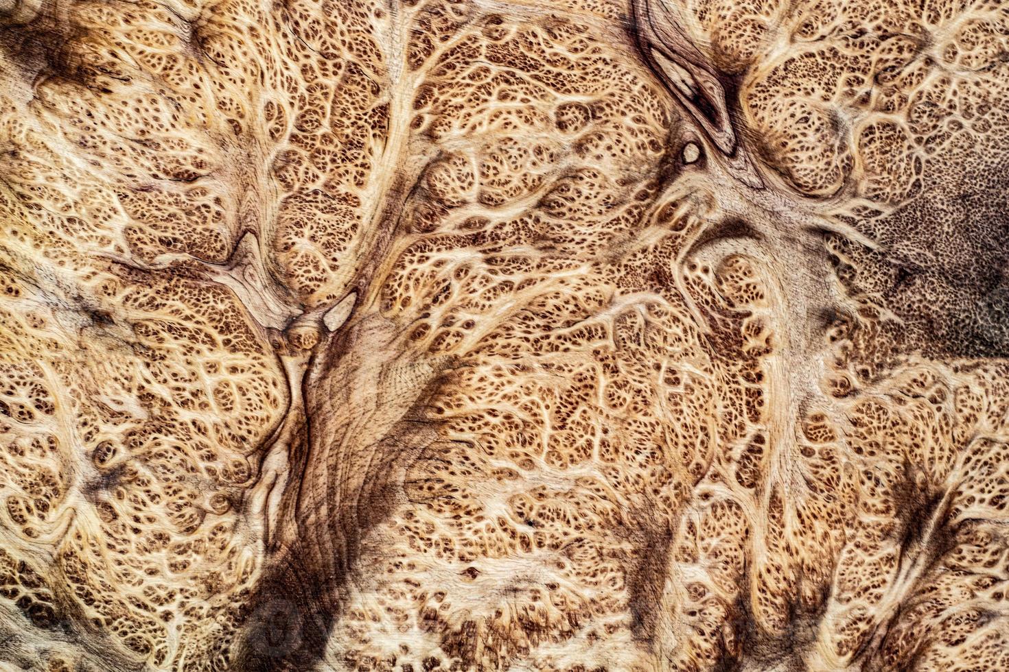 natura salao burl legno a strisce, legno esotico bellissimo motivo per artigianato o arte astratta texture di sfondo foto