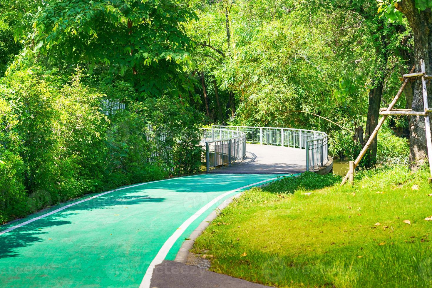 piste ciclabili nel parco foto