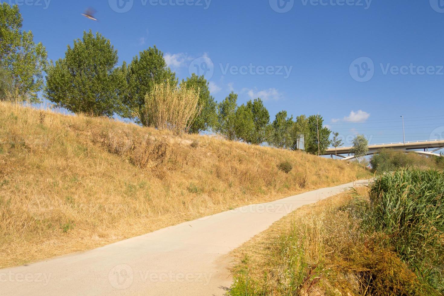 i percorsi pedonali si intersecano nel parco in estate con tempo soleggiato foto