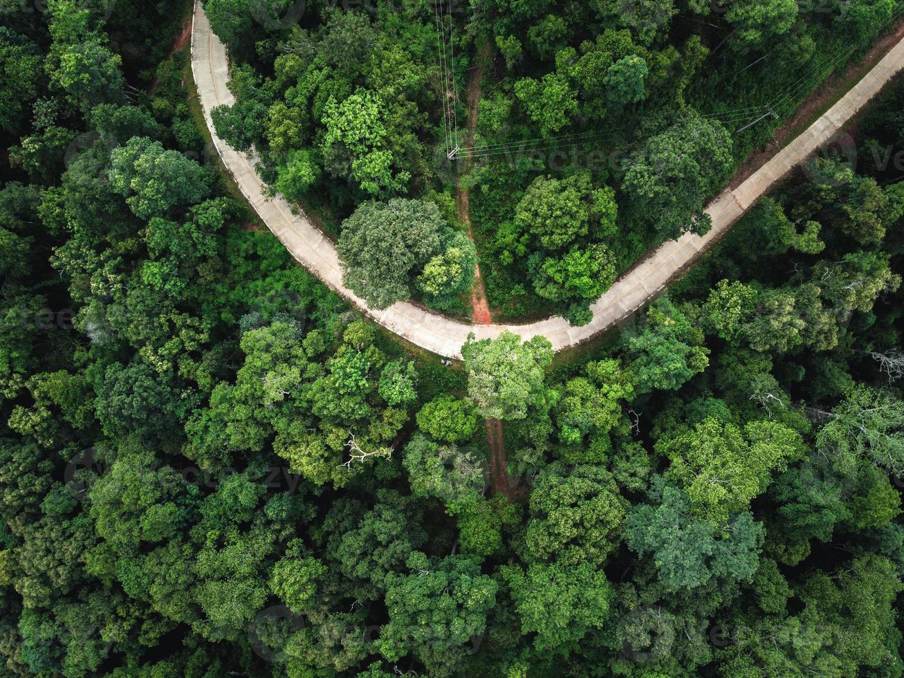 foresta verde ai tropici dall'alto foto