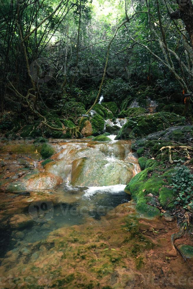 cascata e muschio nella natura tropicale foto