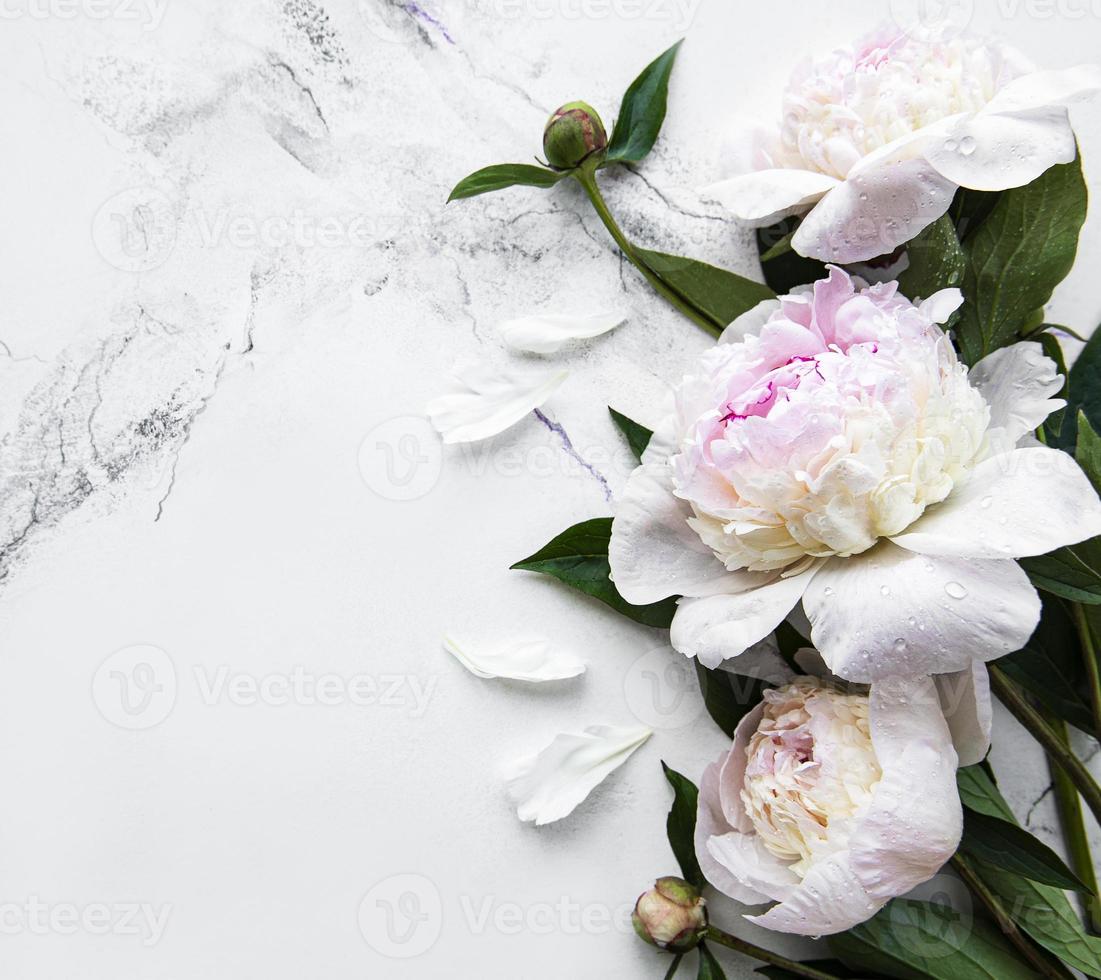 fiori di peonia su uno sfondo di marmo foto