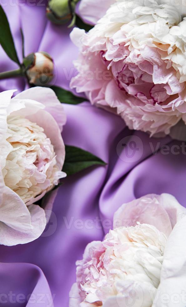 fiori di peonia su uno sfondo di seta viola foto