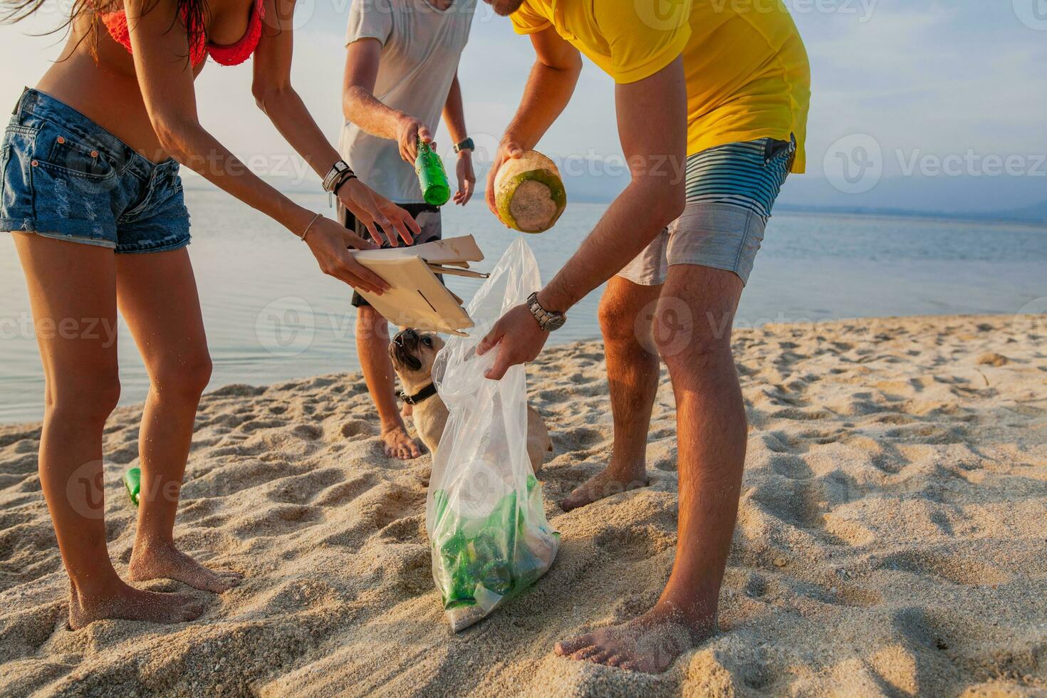 giovane persone amici raccolta su spazzatura e spazzatura su tropicale spiaggia foto