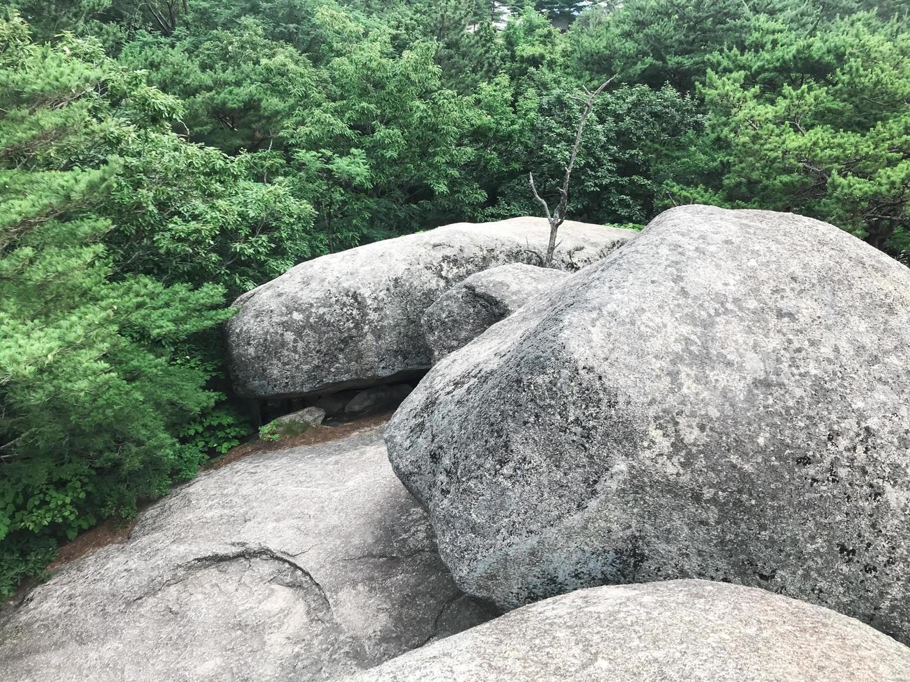 grandi pietre nel parco della città di sokcho, corea del sud foto
