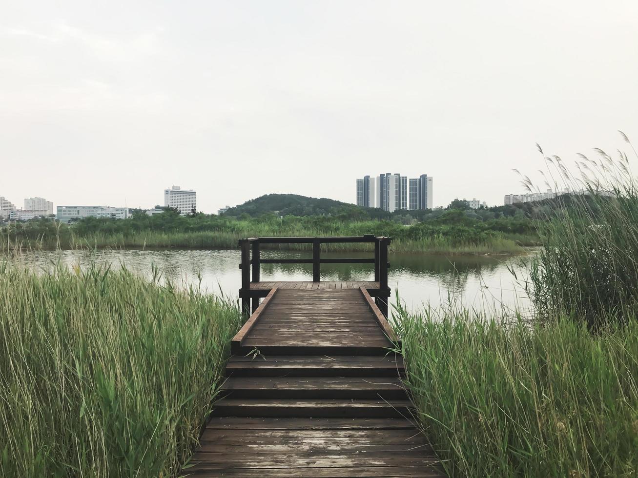 il molo di legno ricoperto di canne sul lago della città di sokcho, corea del sud foto