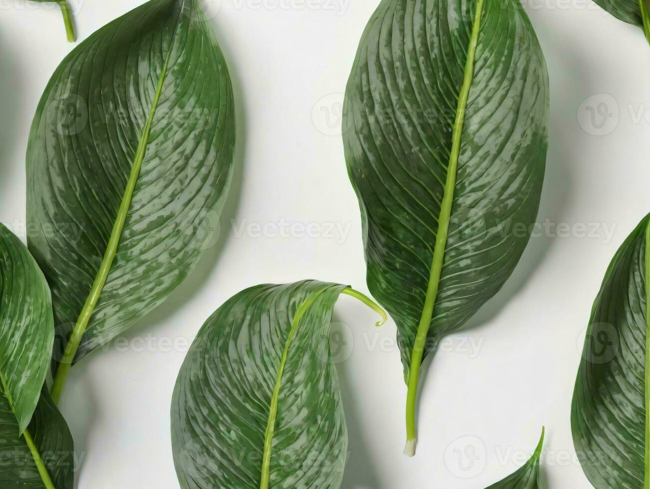 un' gruppo di verde le foglie su un' bianca superficie. ai generato foto