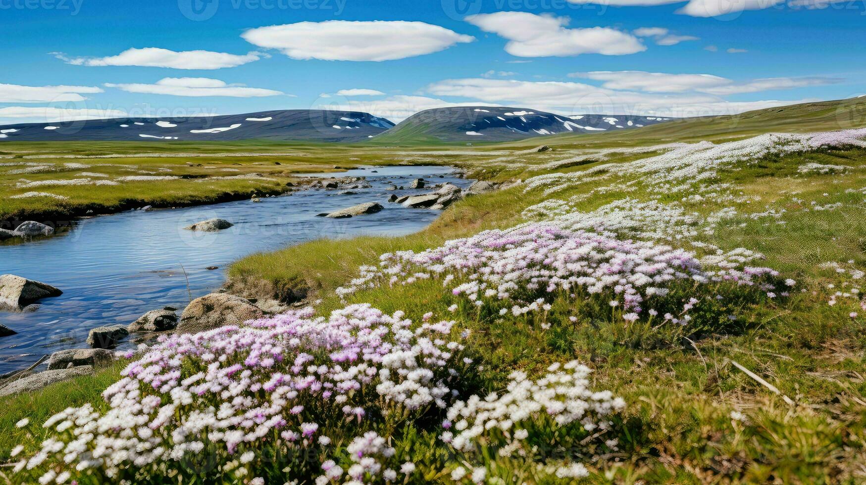 nord artico tundra fiori ai generato foto