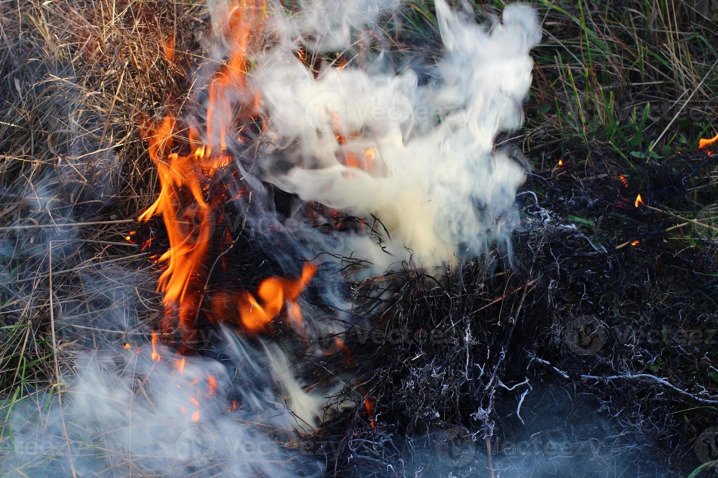 bruciare erba secca. fumo e fuoco. foto