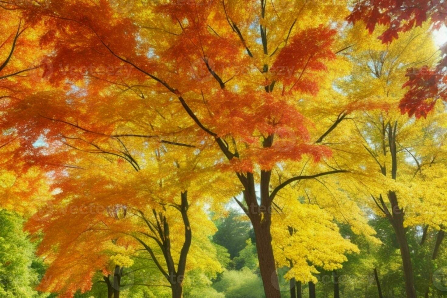 bellissimo paesaggio parco con alberi e sole. colorato fogliame nel il parco. professionista foto
