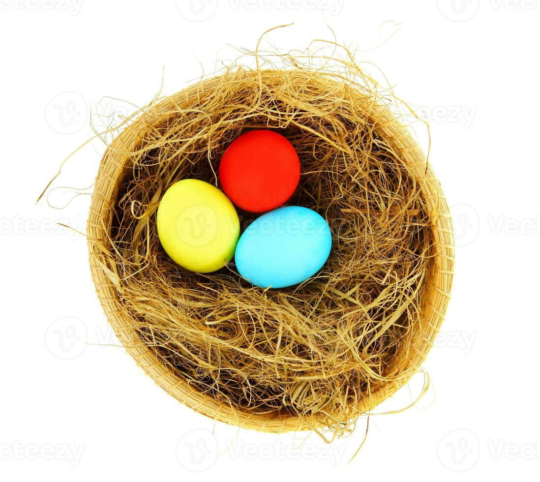 uova di Pasqua nel nido foto