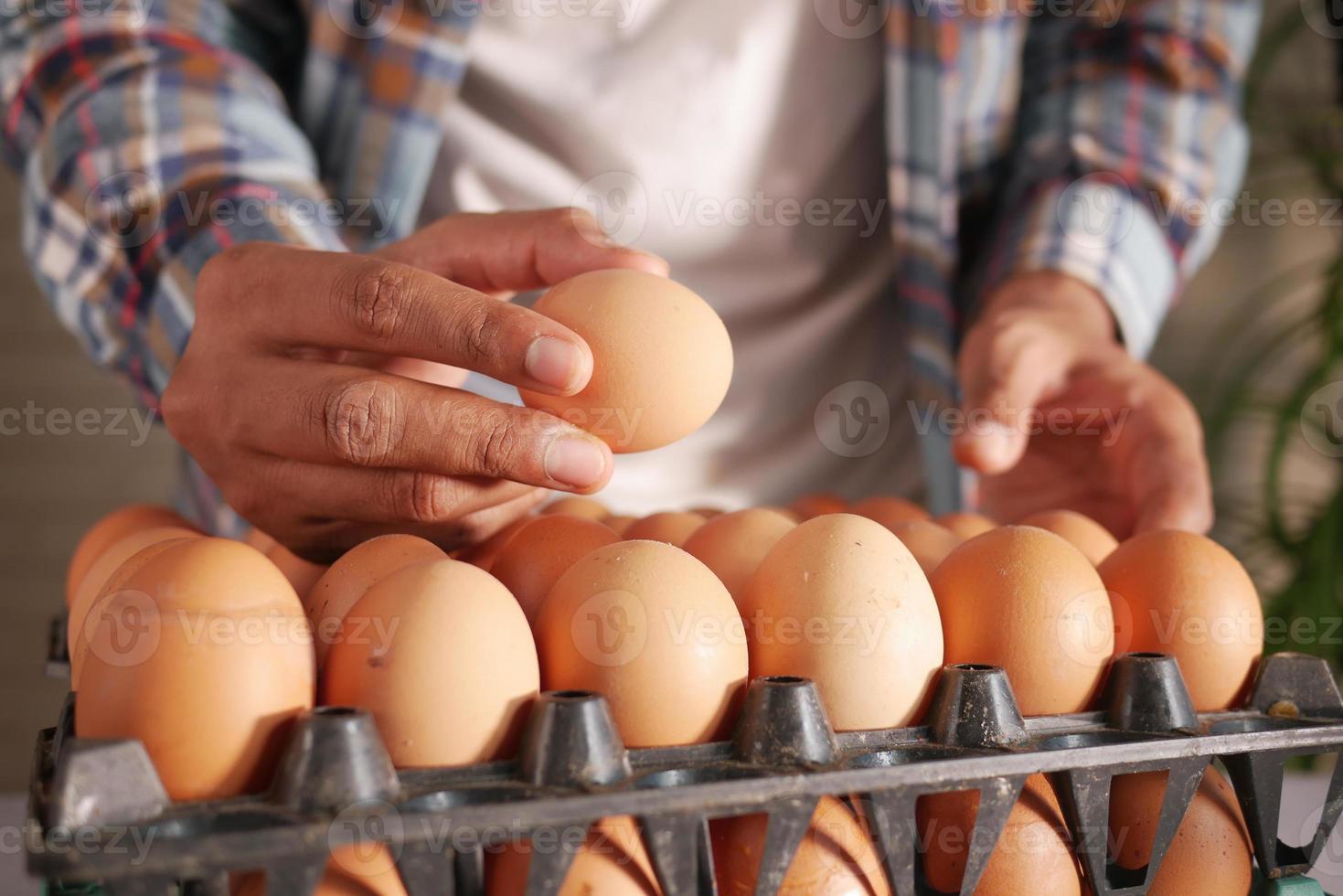 raccogliere a mano le uova da una custodia di plastica sul tavolo foto