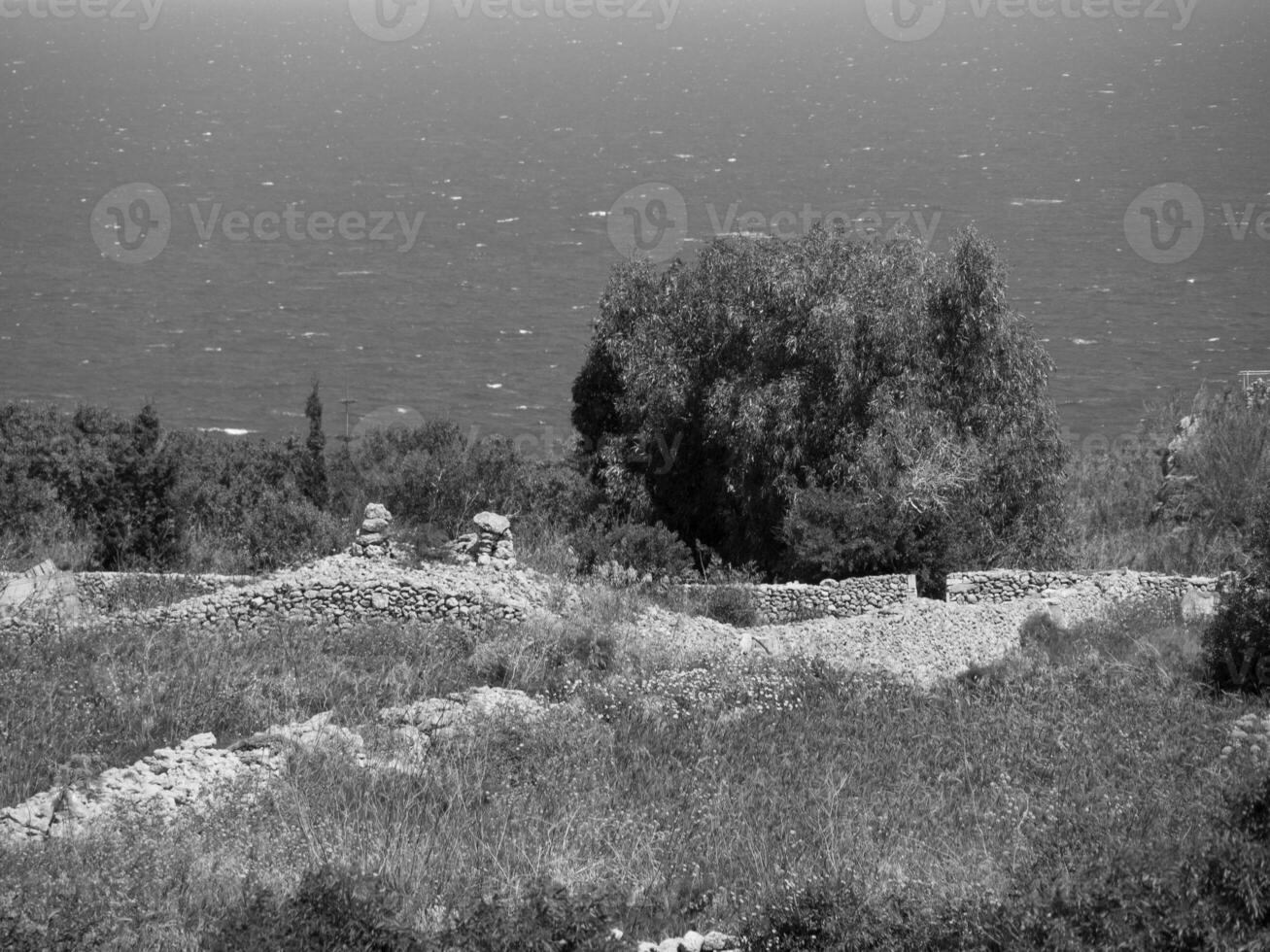 il isola di Malta foto