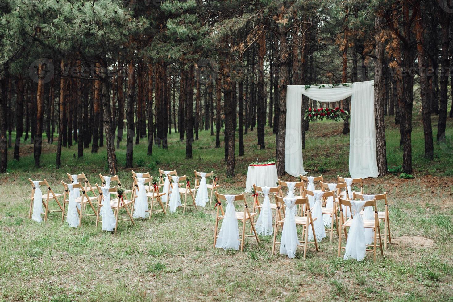 cerimonia di matrimonio nel bosco tra gli alberi sulla pista verde foto