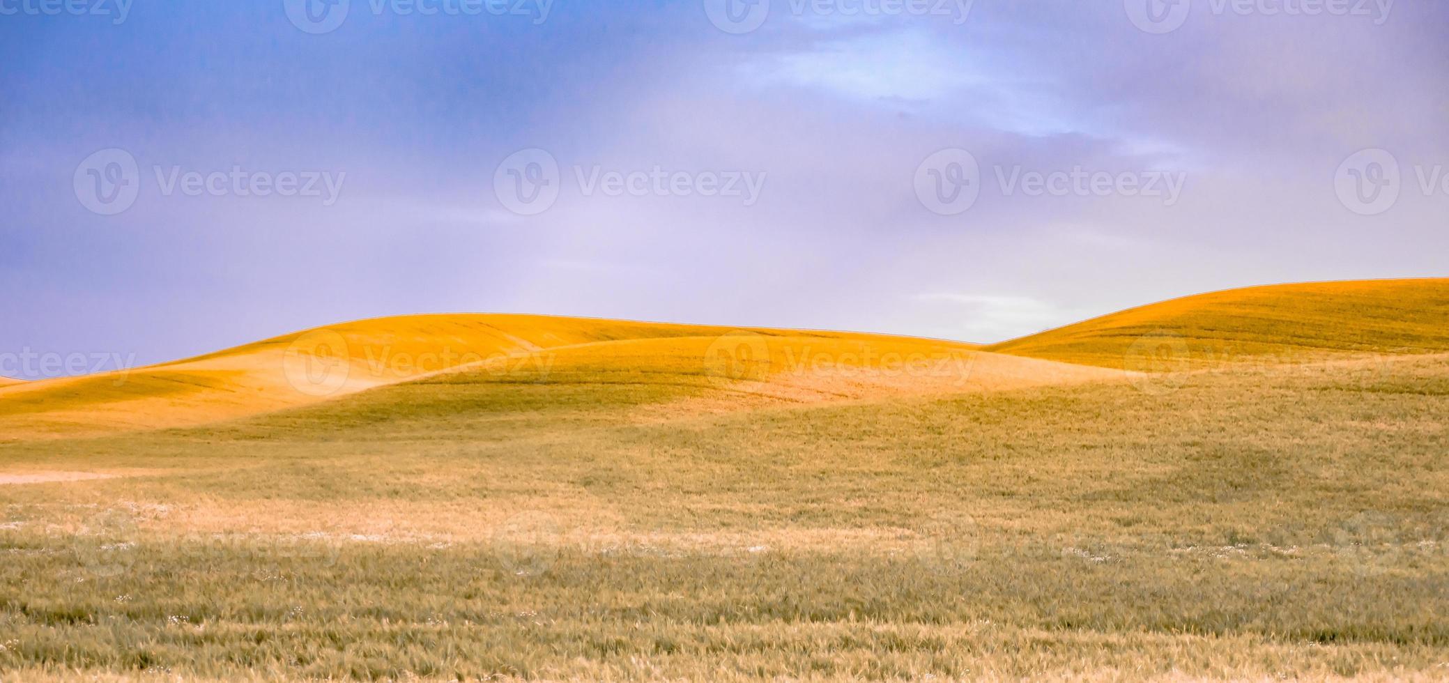 dolci colline e terreni agricoli a Palouse Washington foto