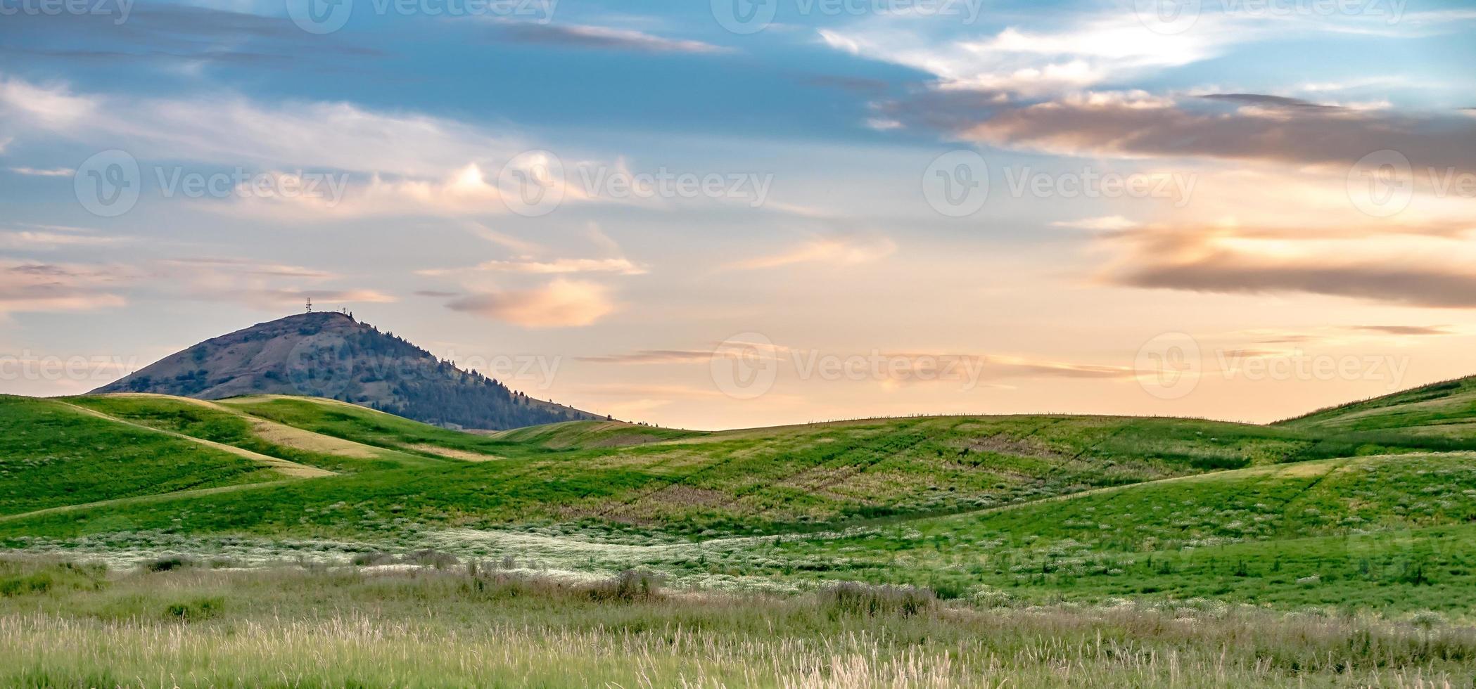 dolci colline e terreni agricoli a Palouse Washington foto