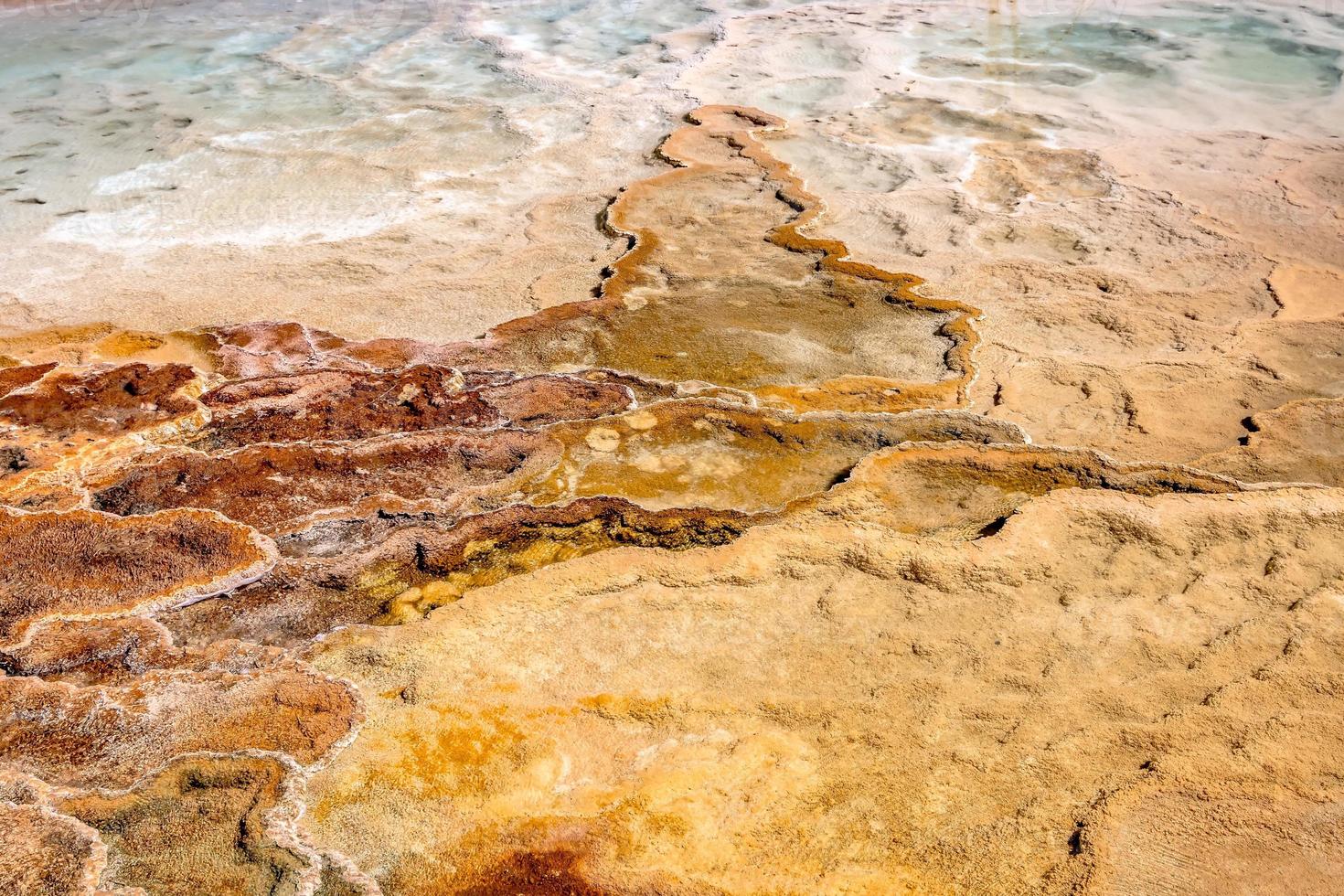 splendido scenario al mammut hot spring a Yellowstone foto