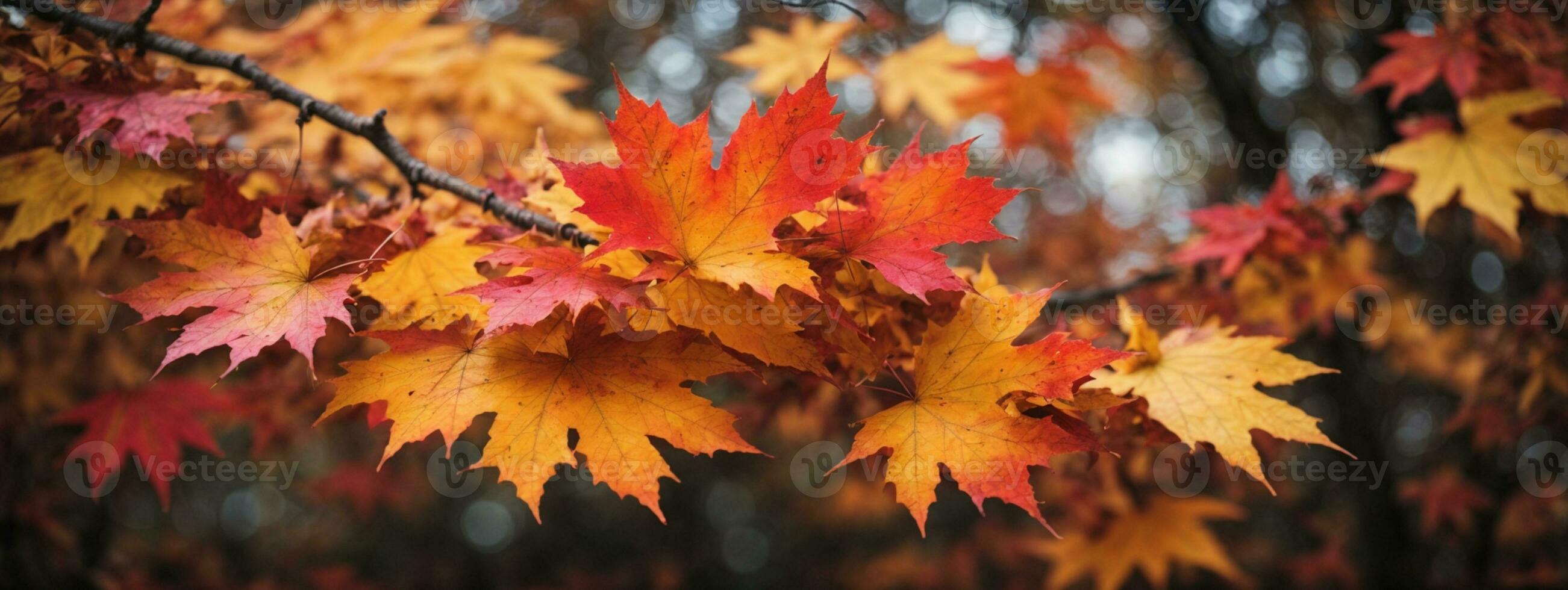 colorato autunno acero le foglie su un' albero ramo. ai generato foto