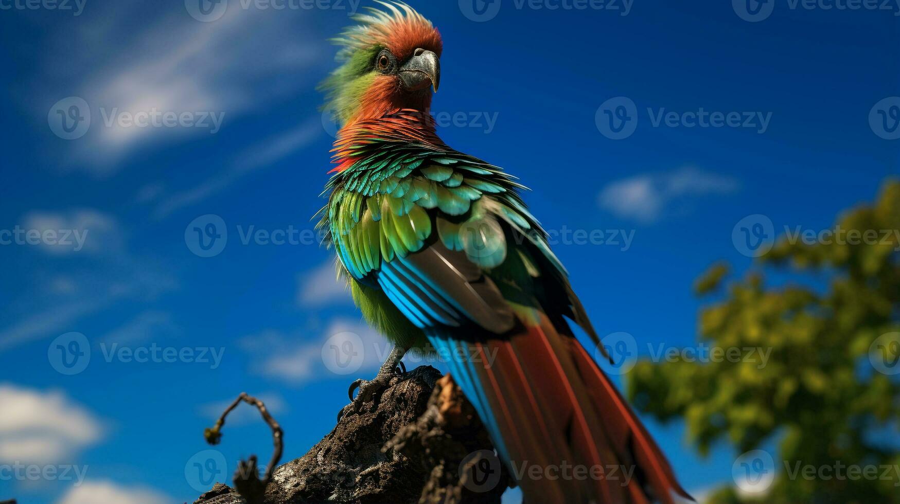 foto di quetzal nel là foresta con blu cielo. generativo ai