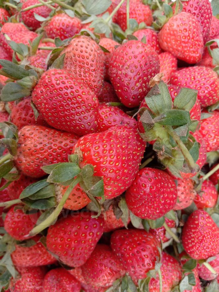 brodo di fragole rosse fresche gustoso e salutare foto