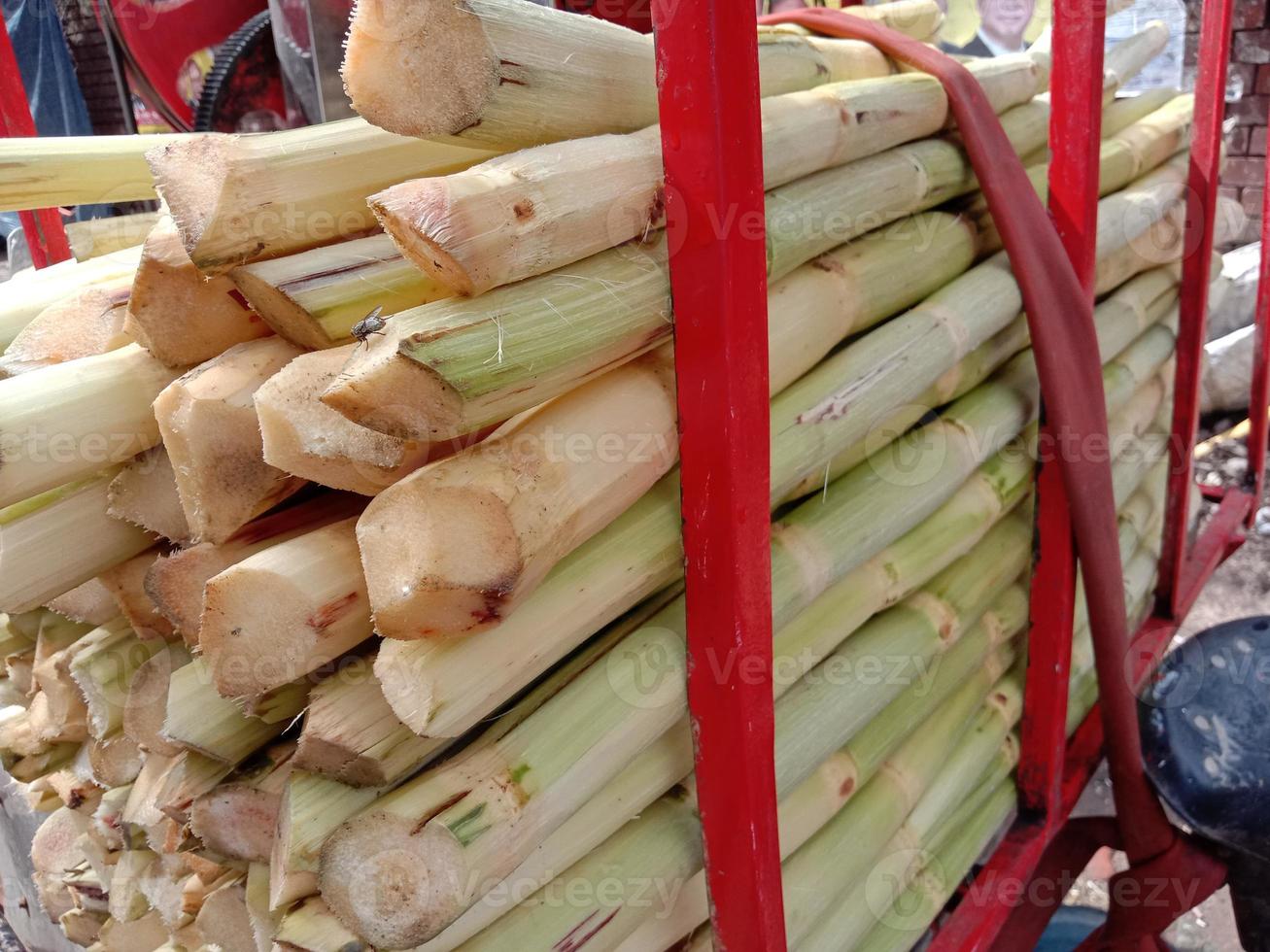 brodo di canna da zucchero pese tagliato gustoso e salutare foto