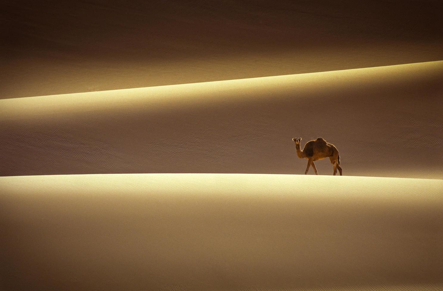 Tassili n'ajjer deserto, parco nazionale, algeria - africa foto