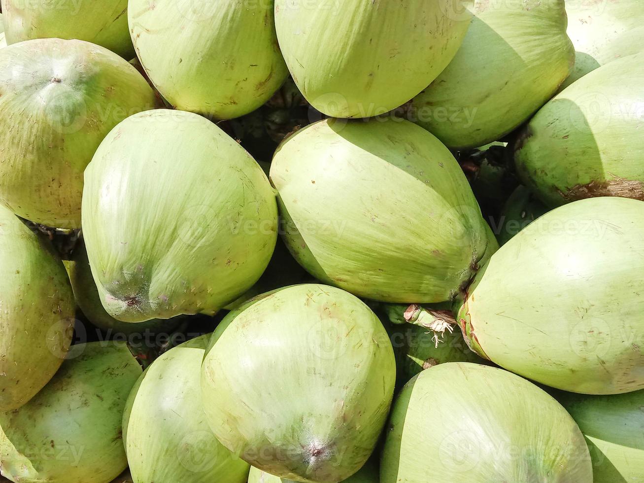 brodo di cocco crudo di colore verde foto