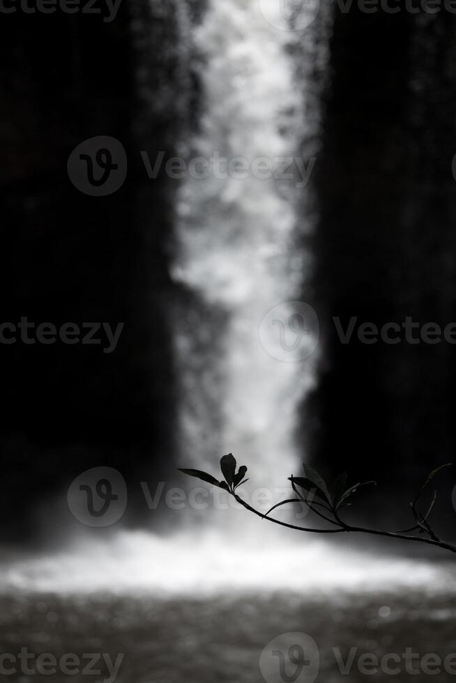 astratto scena di staglia le foglie con sfocato cascata dentro buio grotta. foto